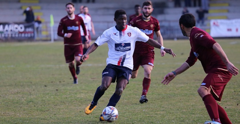 Crotone striker Kargbo targets Sierra Leone call-up