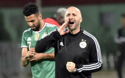 ‘No small teams in African football’ – Algeria coach Djamel Belmadi 